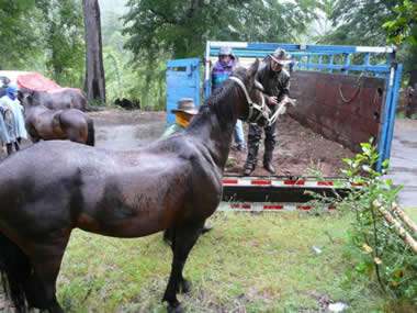 Trailride Chile